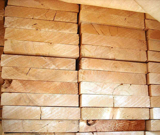 平阳智利辐射松方木