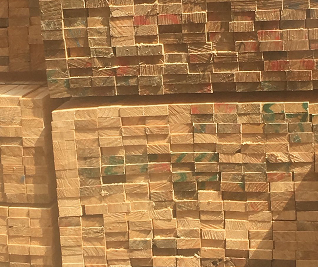 平阳新西兰进口松木